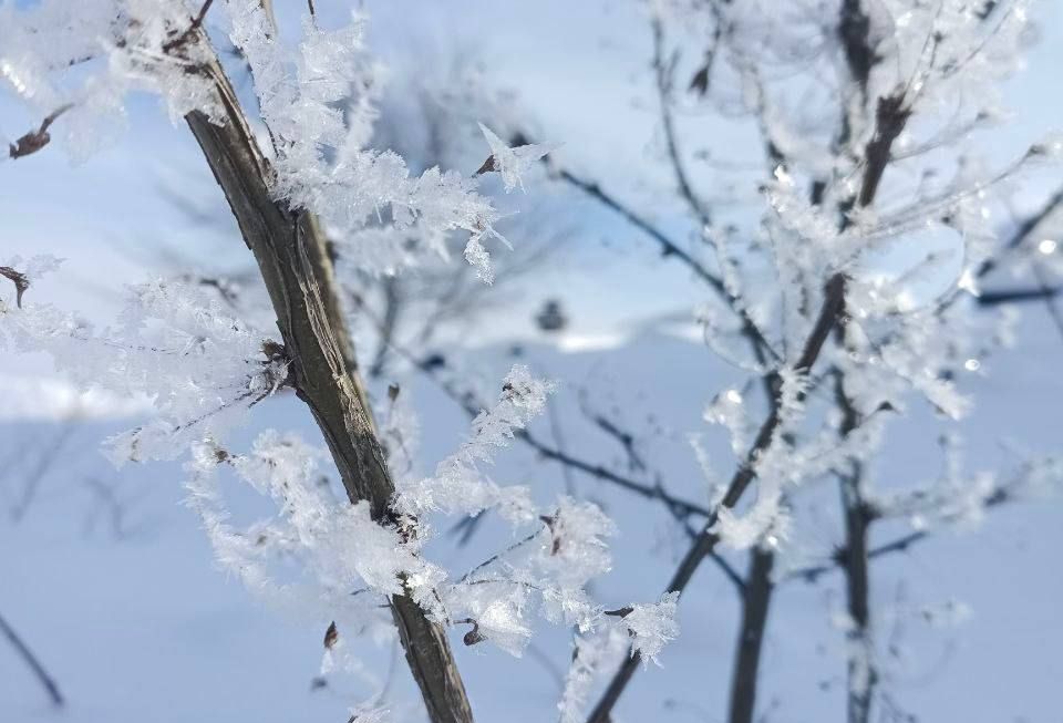 Слово старца Иоанна Миронова перед началом Великого поста